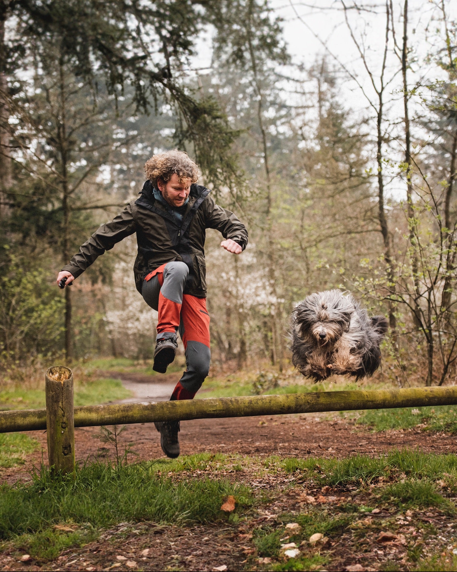 Agility - Tips för nybörjare - Pinewood
