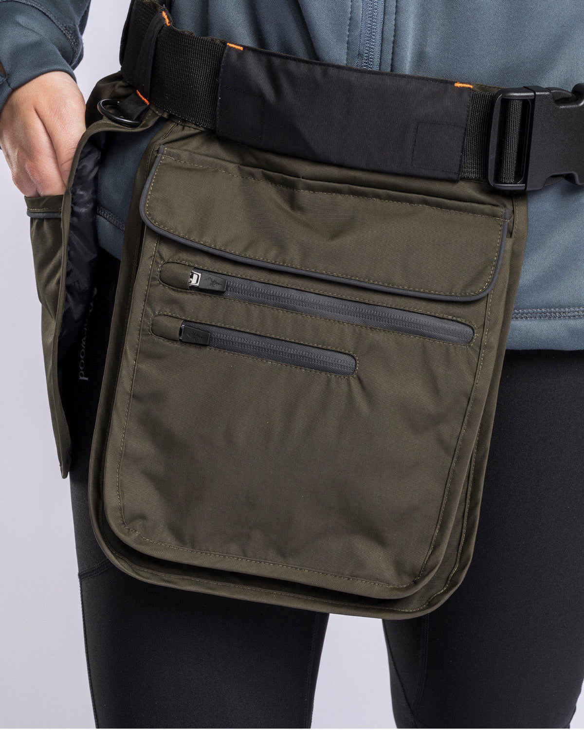 Dog sport collection