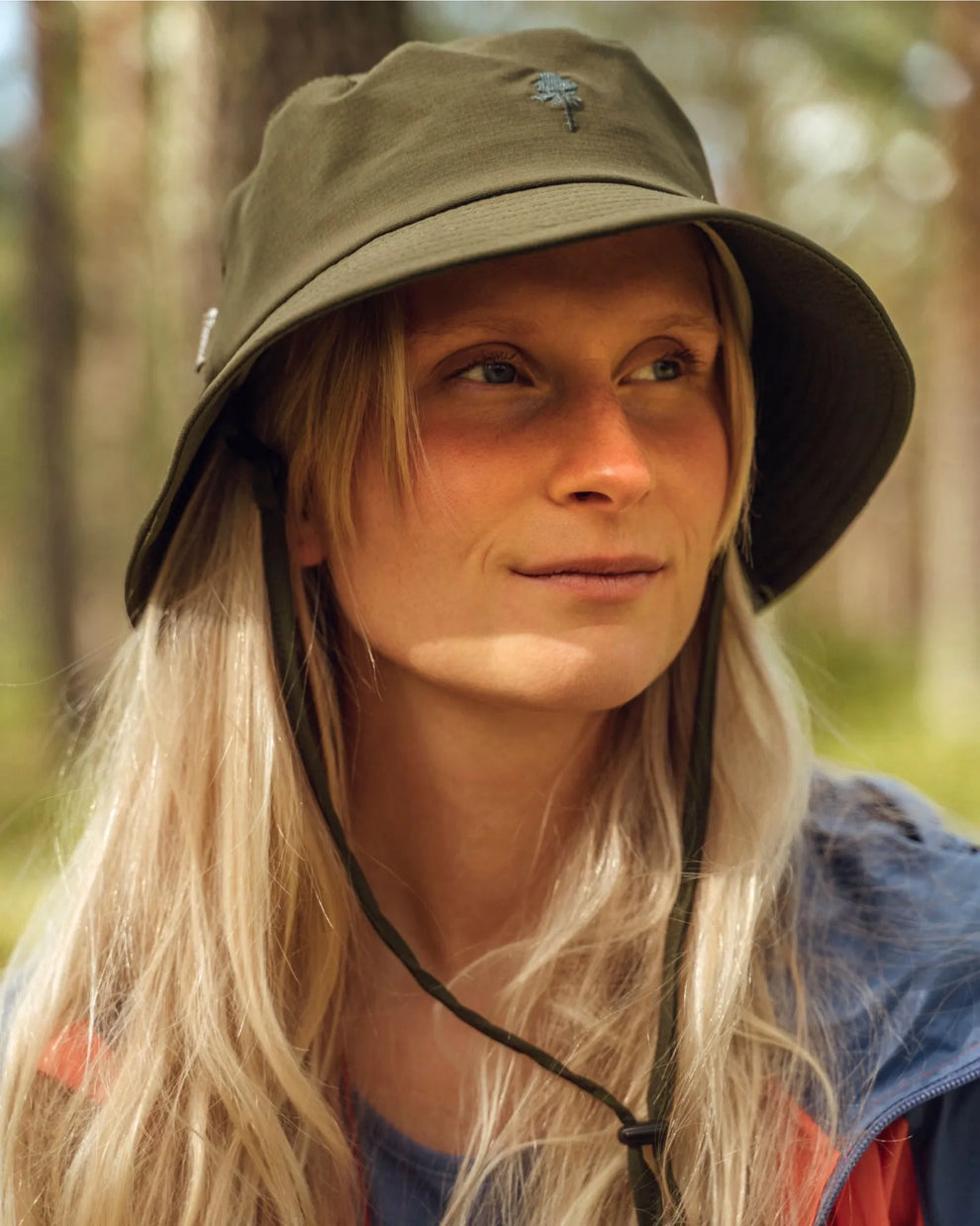 1154-135-40_Pinewood