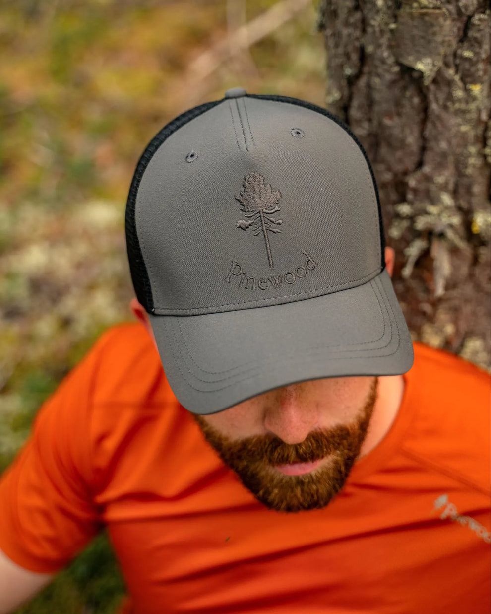 1180-413-40_Pinewood