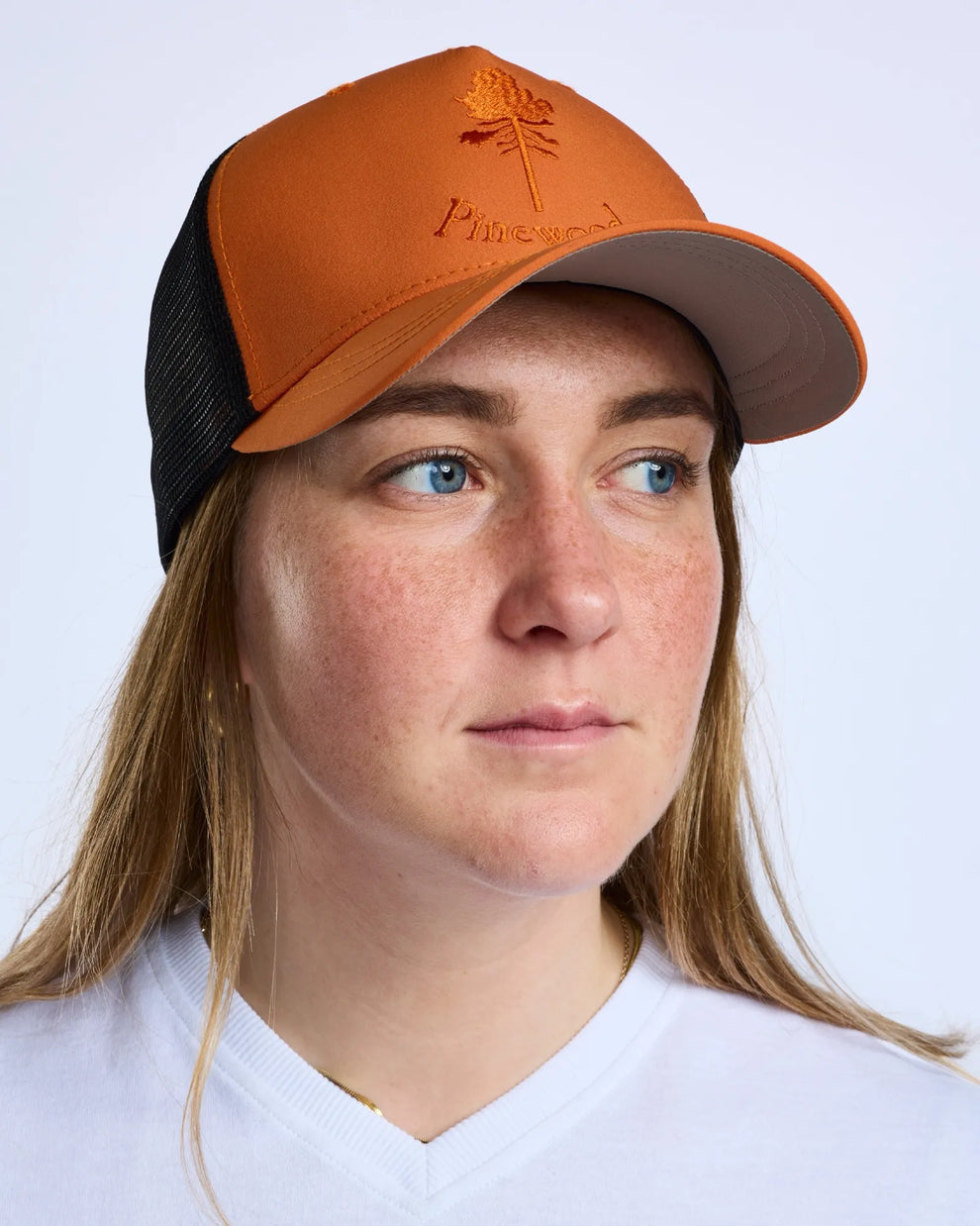 1180-501-60_Pinewood