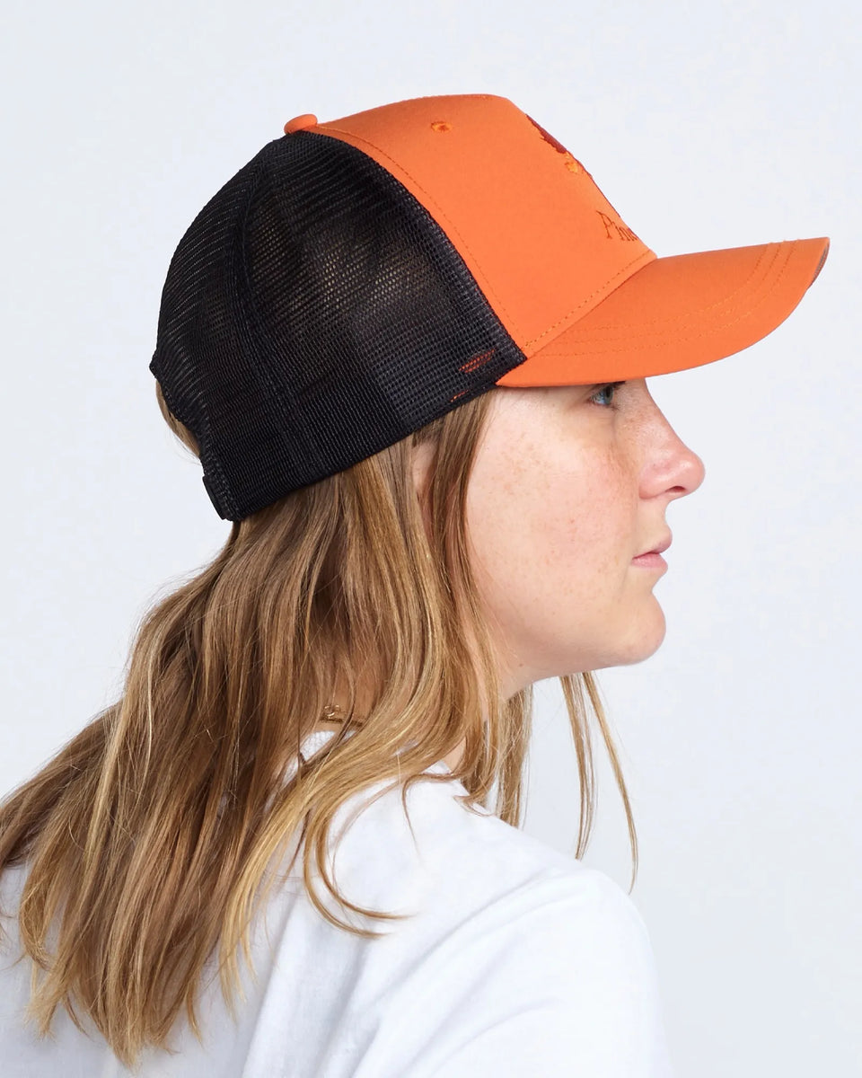 1180-501-66_Pinewood