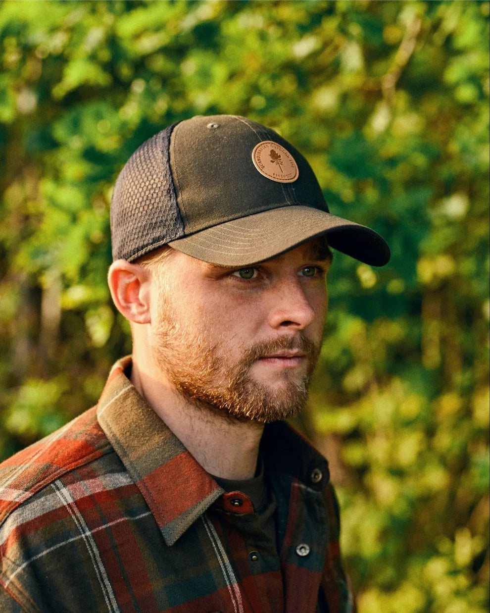 1244-135-40_Pinewood