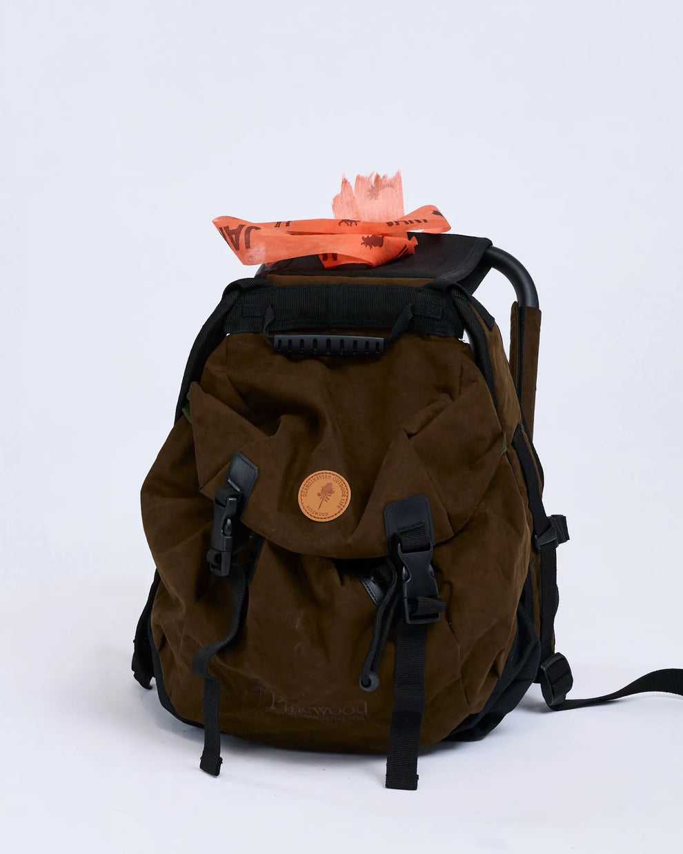 1919-241-21_Pinewood