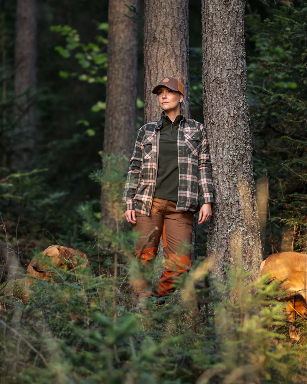 3069-100-40_Pinewood