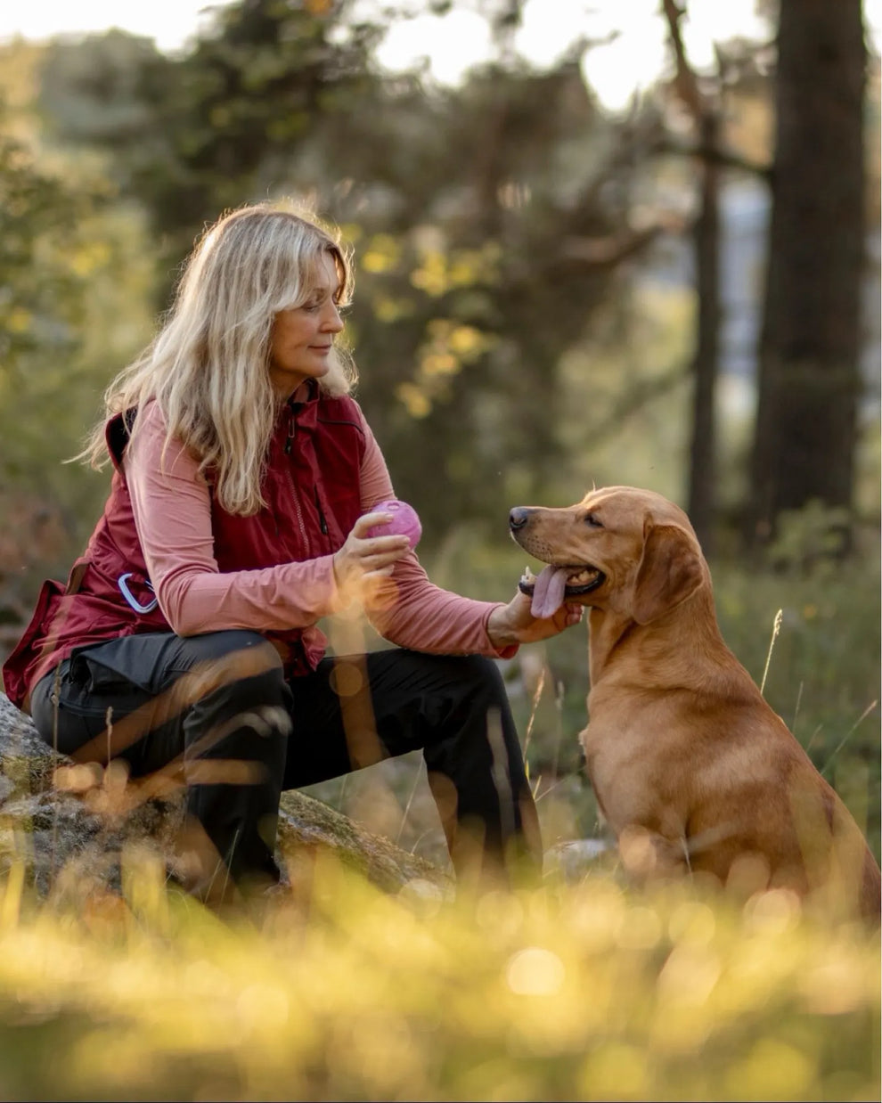 3148-829-40_Pinewood