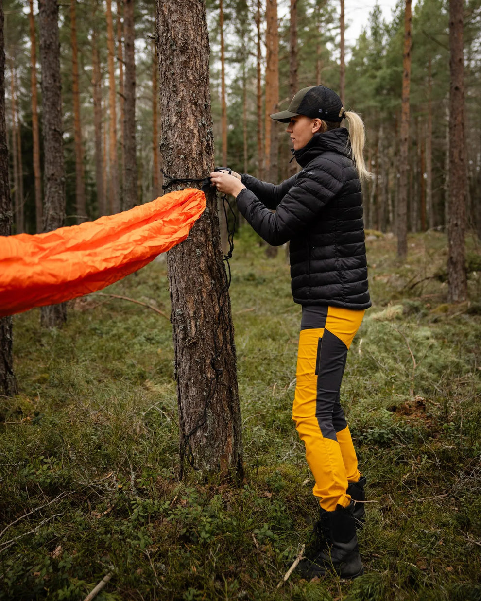 3252-400-40_Pinewood