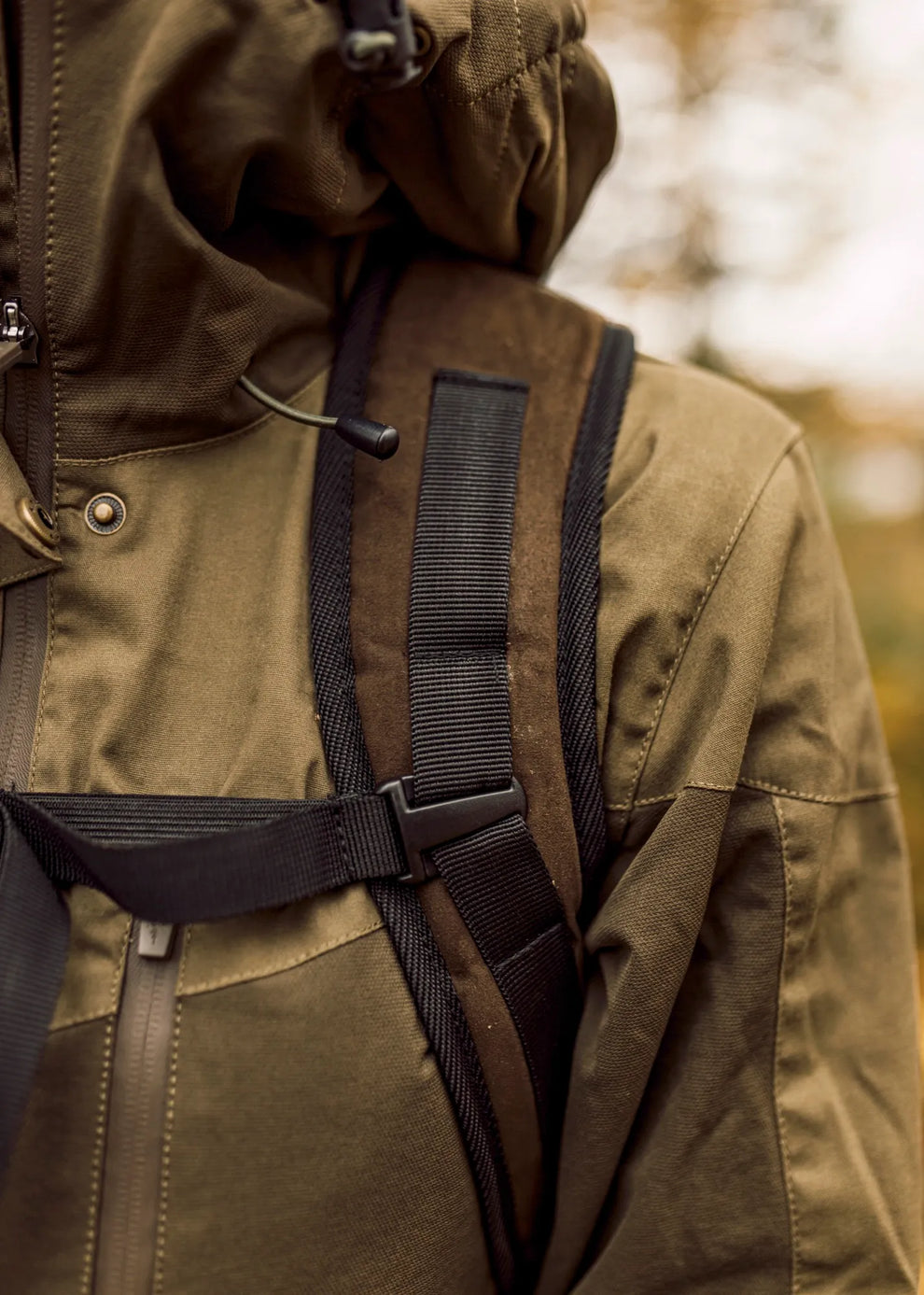 3303-713-40_Pinewood-Env-0001-0012_0066_5498-241_3303-713