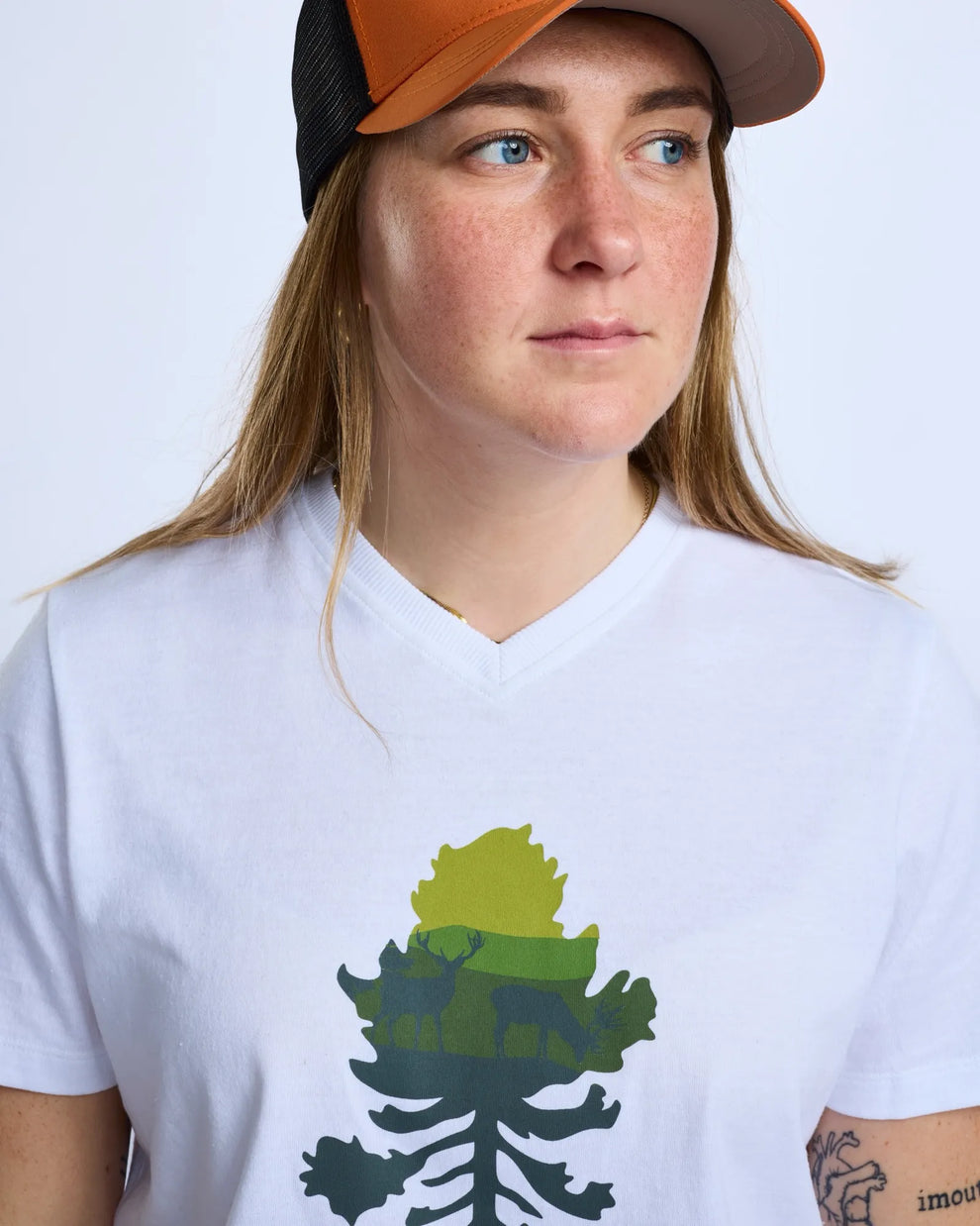 3449-619-20_Pinewood