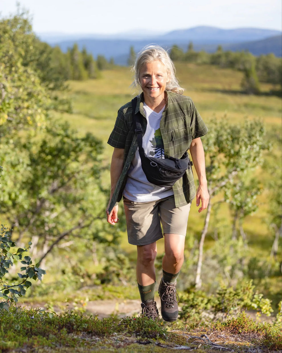 3449-619-40_Pinewood