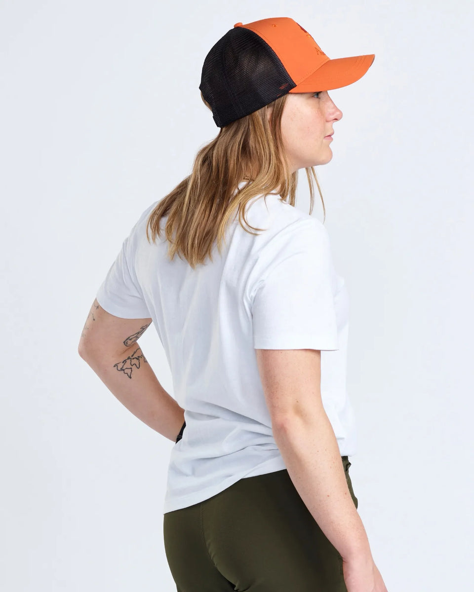 3449-619-66_Pinewood