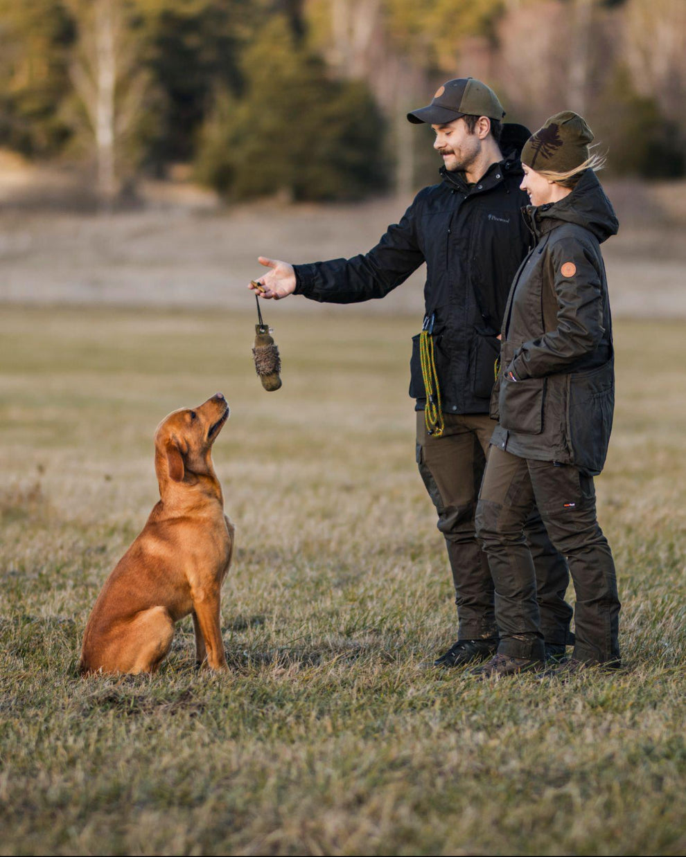 3482-135-40_Pinewood