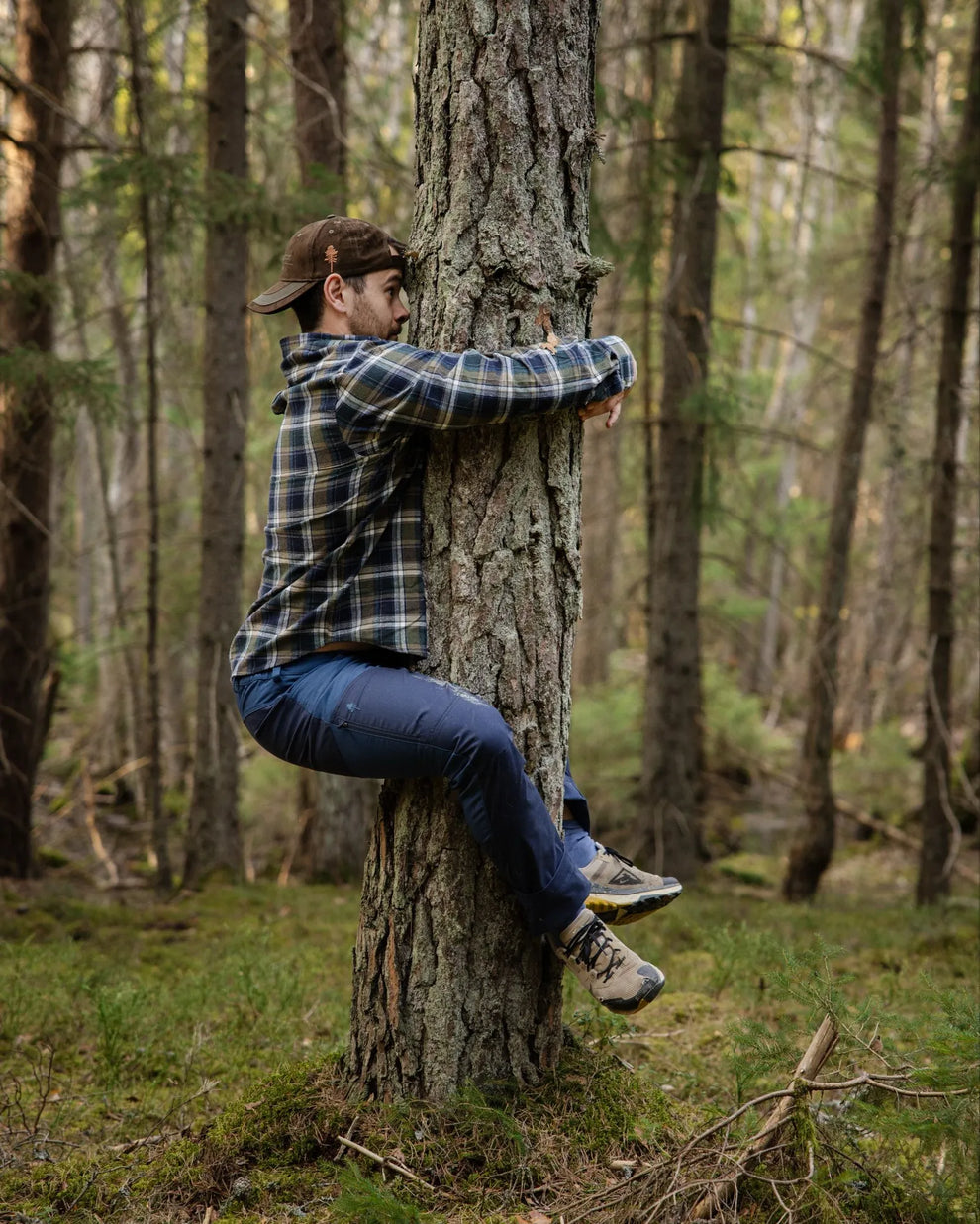 4539-314-40_Pinewood