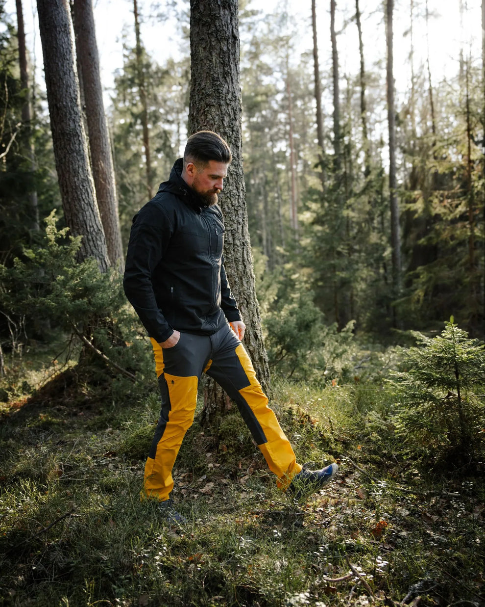 4539-573-40_Pinewood