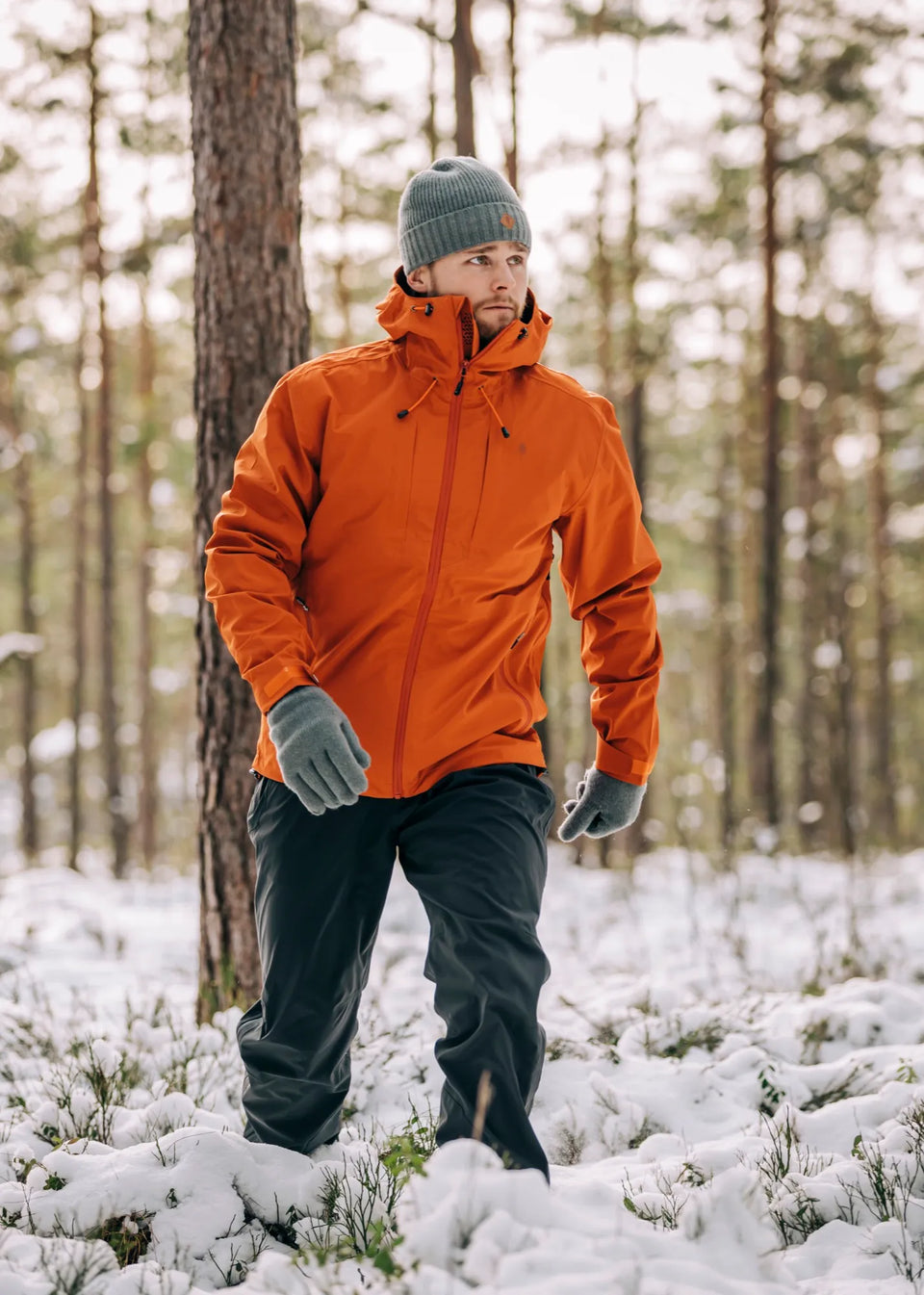 5213-501-40_Pinewood-Env-0001-0003-0043_5213-501_5313-443_1121-364_1122-364