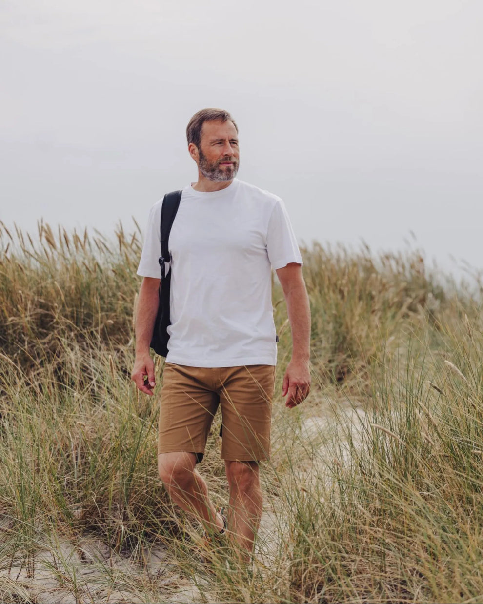 5447-617-40_Pinewood