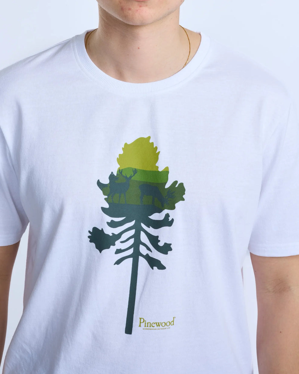 5449-619-20_Pinewood