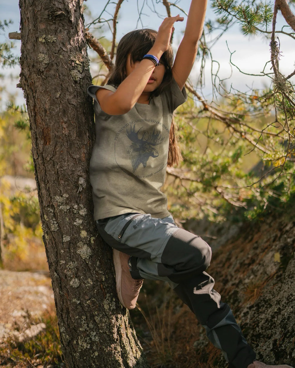 6085-365-40_Pinewood