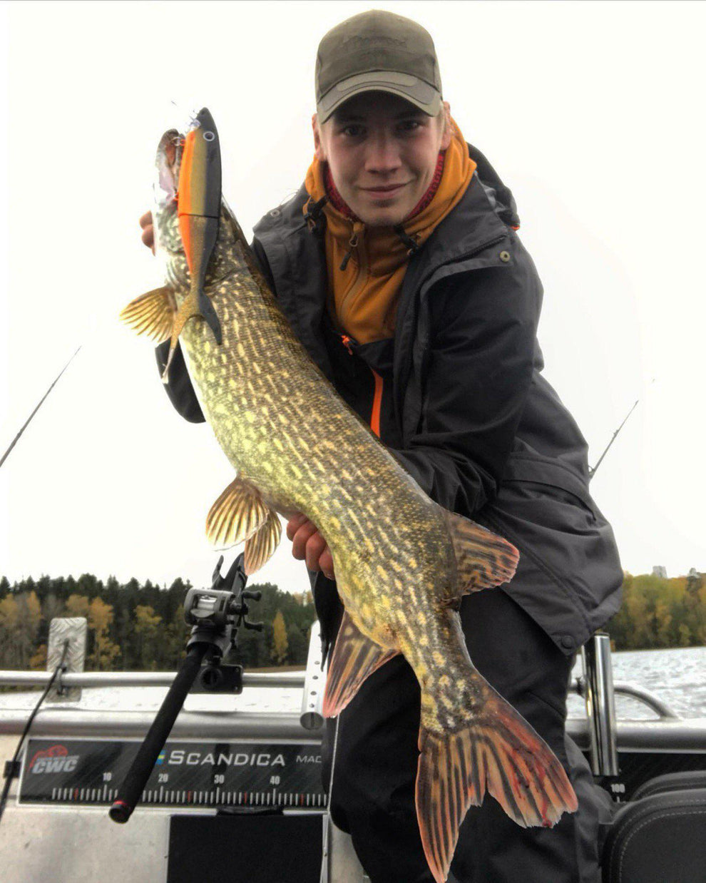 9195-135-40_Pinewood