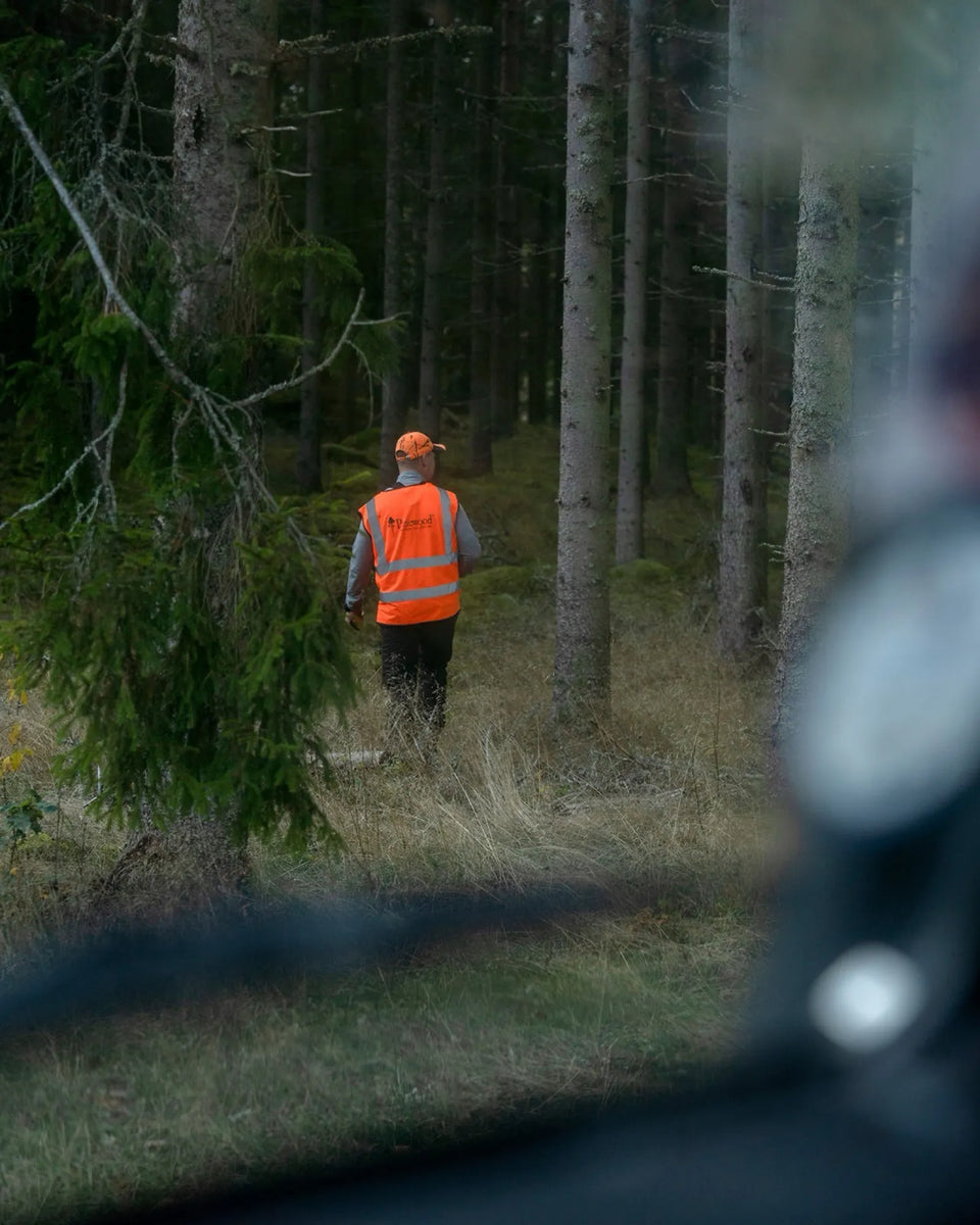 9220-502-40_Pinewood