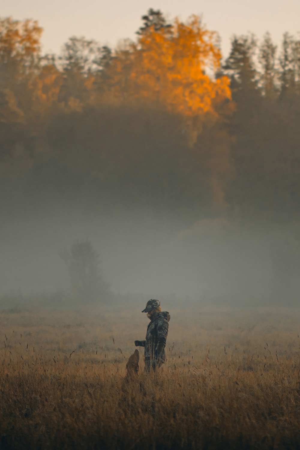 A person in camouflage set from Pinewood stands in a misty field with a dog, with trees in the background illuminated by warm golden sunlight.