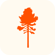 Pinewood logo